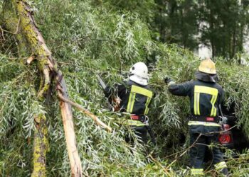 A Guide To Disaster Cleaning